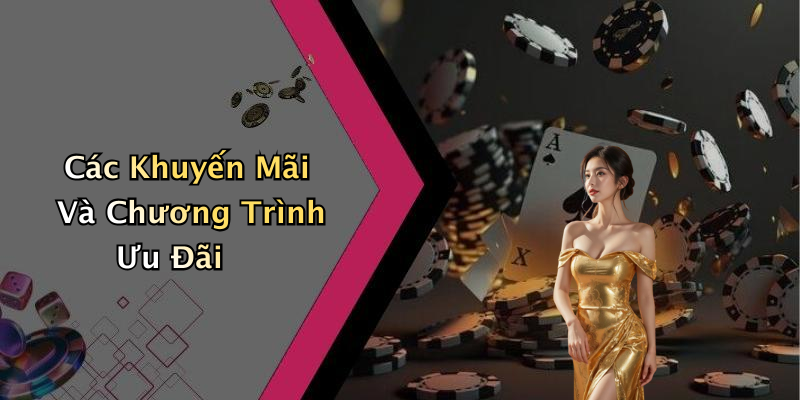 Các Khuyến Mãi Và Chương Trình Ưu Đãi