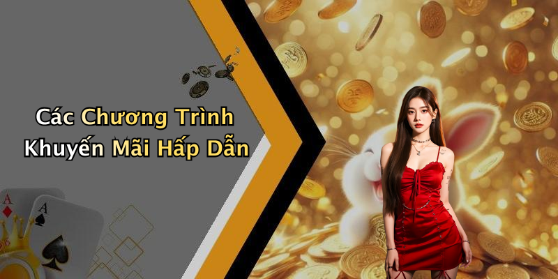 Các Chương Trình Khuyến Mãi Hấp Dẫn
