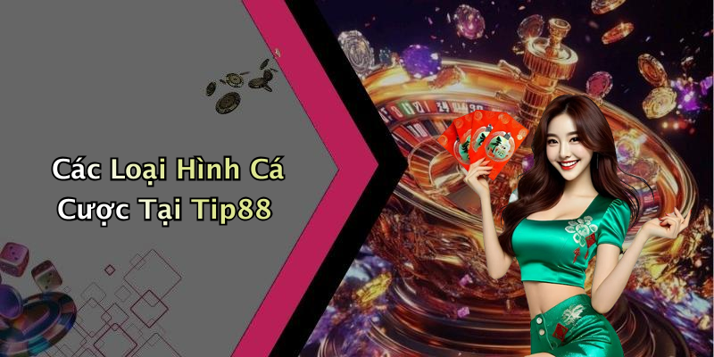 Các Loại Hình Cá Cược Tại Tip88