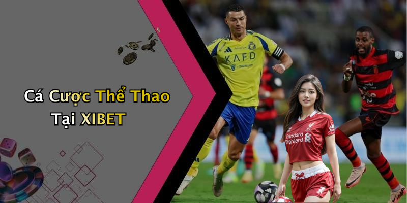 Cá Cược Thể Thao Tại XIBET