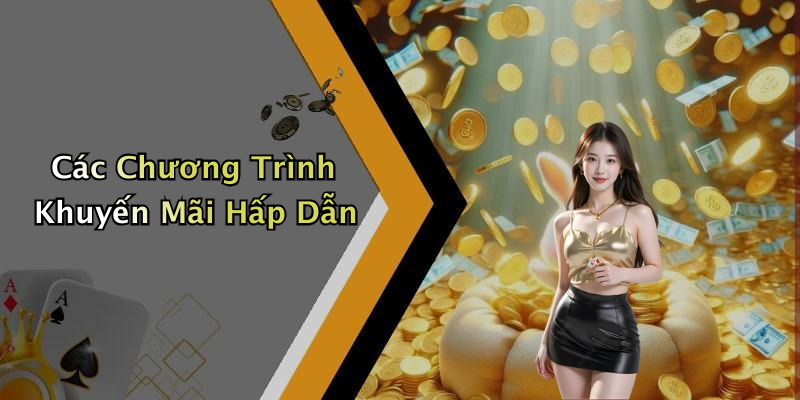 Các Chương Trình Khuyến Mãi Hấp Dẫn