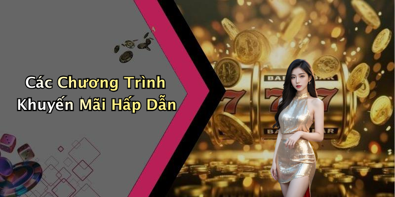 Các Chương Trình Khuyến Mãi Hấp Dẫn