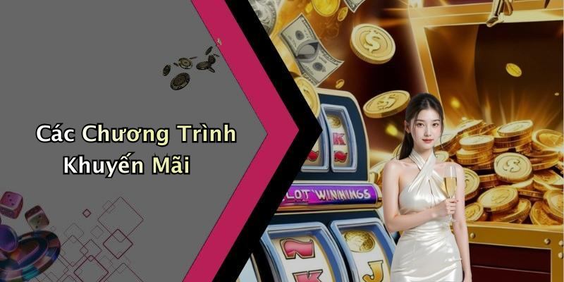 Các Chương Trình Khuyến Mãi