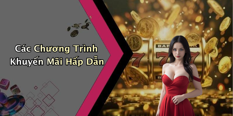 Các Chương Trình Khuyến Mãi Hấp Dẫn