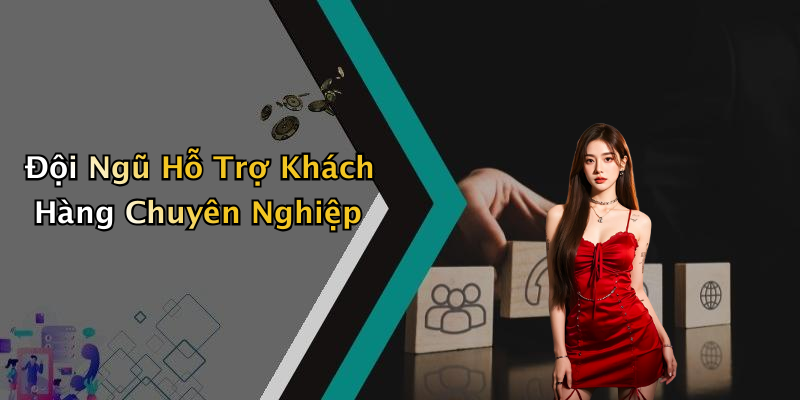 Đội Ngũ Hỗ Trợ Khách Hàng Chuyên Nghiệp