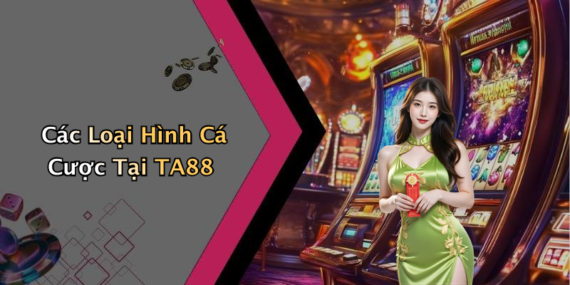 Các Loại Hình Cá Cược Tại TA88