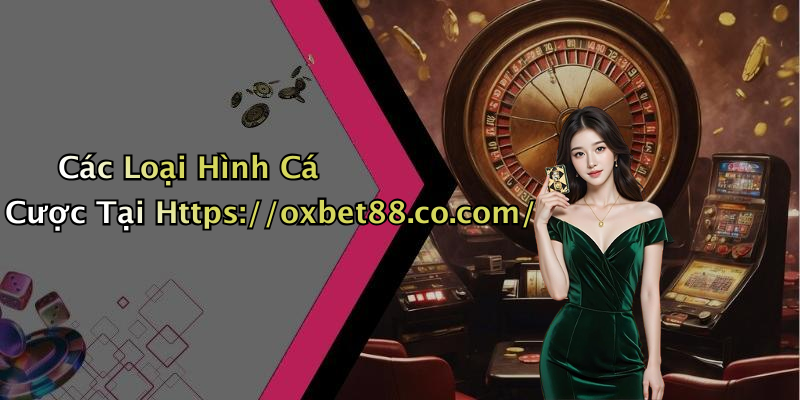 Các Loại Hình Cá Cược Tại Https://oxbet88.co.com/