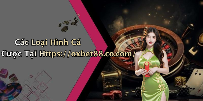 Các Loại Hình Cá Cược Tại Https://oxbet88.co.com/