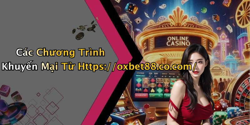 Các Chương Trình Khuyến Mại Từ Https://oxbet88.co.com/
