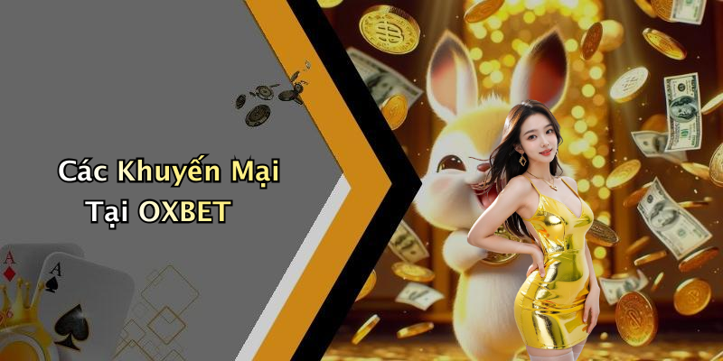 Các Khuyến Mại Tại OXBET