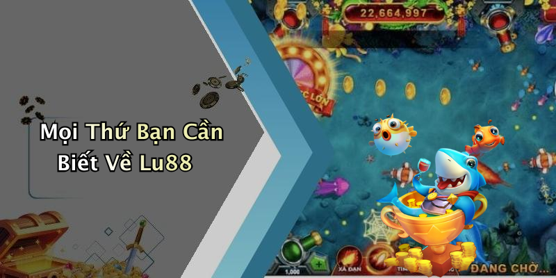 Mọi Thứ Bạn Cần Biết Về Lu88