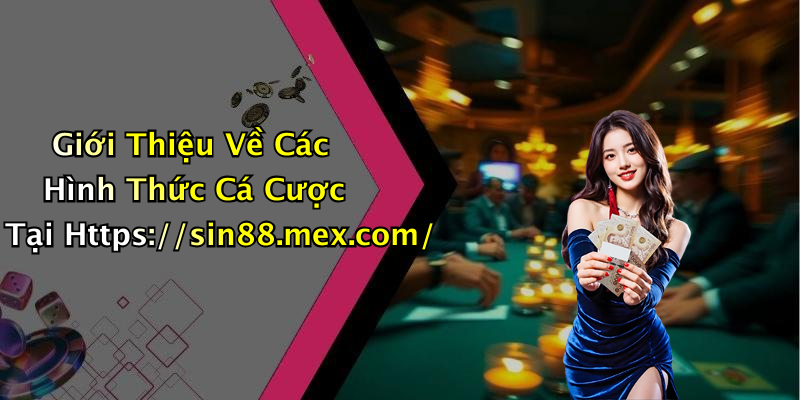 Giới Thiệu Về Các Hình Thức Cá Cược Tại Https://sin88.mex.com/