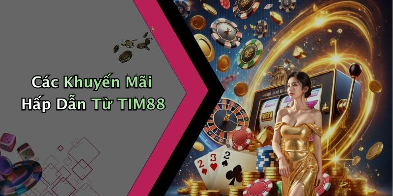 Các Khuyến Mãi Hấp Dẫn Từ TIM88