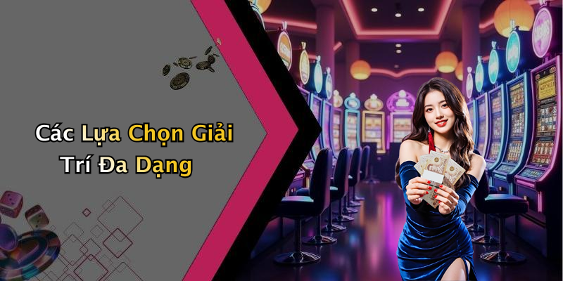 Các Lựa Chọn Giải Trí Đa Dạng