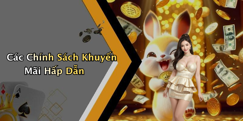 Các Chính Sách Khuyến Mãi Hấp Dẫn
