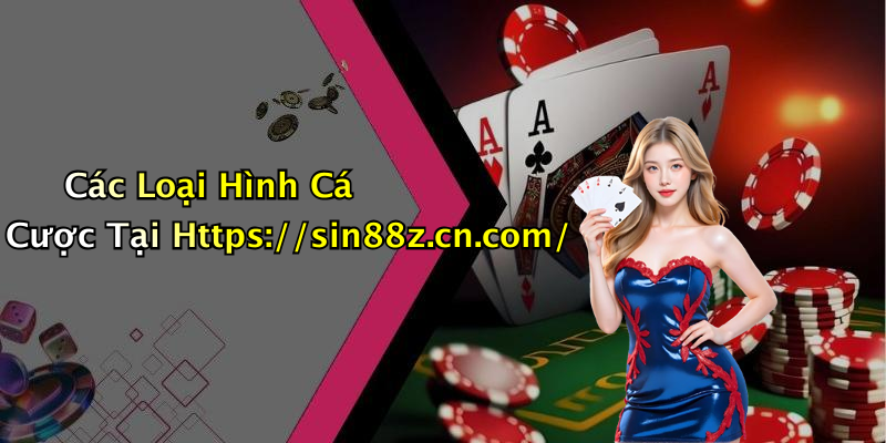 Các Loại Hình Cá Cược Tại Https://sin88z.cn.com/