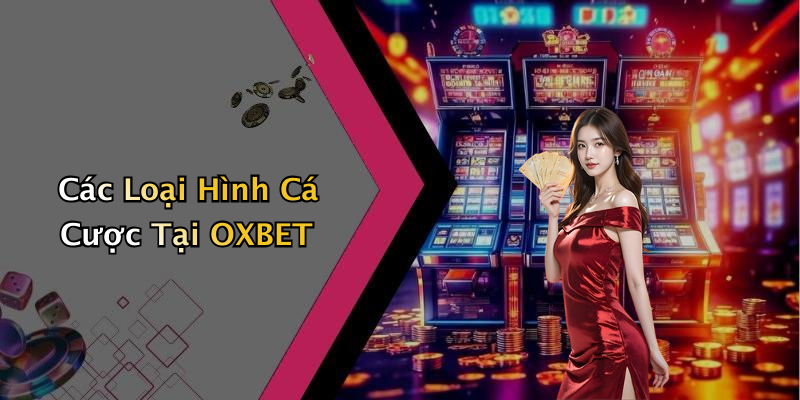 Các Loại Hình Cá Cược Tại OXBET