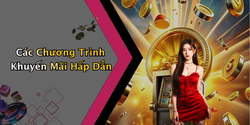 Các Chương Trình Khuyến Mãi Hấp Dẫn