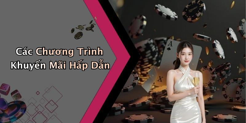 Các Chương Trình Khuyến Mãi Hấp Dẫn