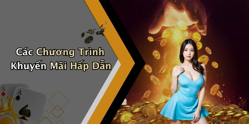 Các Chương Trình Khuyến Mãi Hấp Dẫn