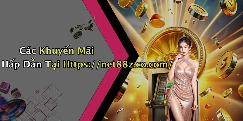 Các Khuyến Mãi Hấp Dẫn Tại Https://net88z.co.com/