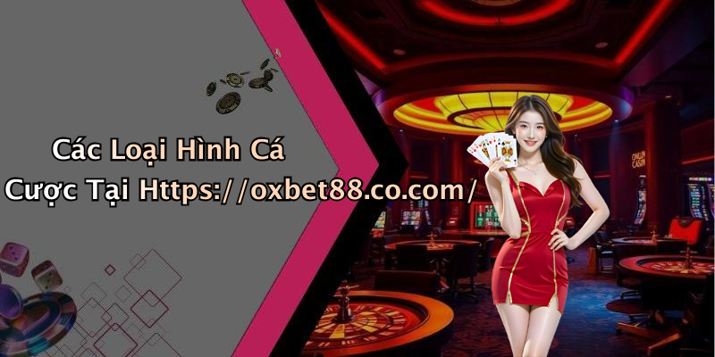 Các Loại Hình Cá Cược Tại Https://oxbet88.co.com/