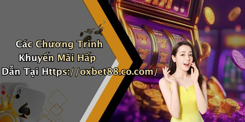 Các Chương Trình Khuyến Mãi Hấp Dẫn Tại Https://oxbet88.co.com/