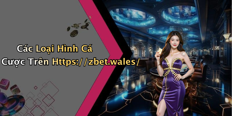 Các Loại Hình Cá Cược Trên Https://zbet.wales/