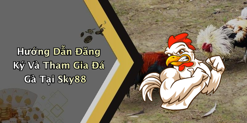 Hướng Dẫn Đăng Ký Và Tham Gia Đá Gà Tại Sky88