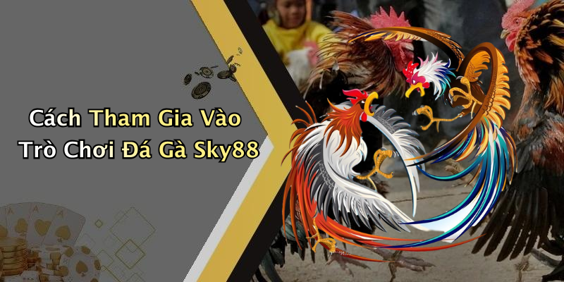 Cách Tham Gia Vào Trò Chơi Đá Gà Sky88