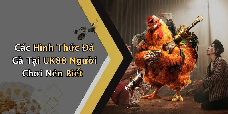 Các Hình Thức Đá Gà Tại UK88 Người Chơi Nên Biết
