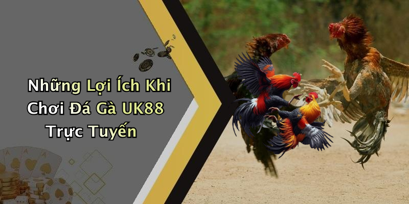 Những Lợi Ích Khi Chơi Đá Gà UK88 Trực Tuyến