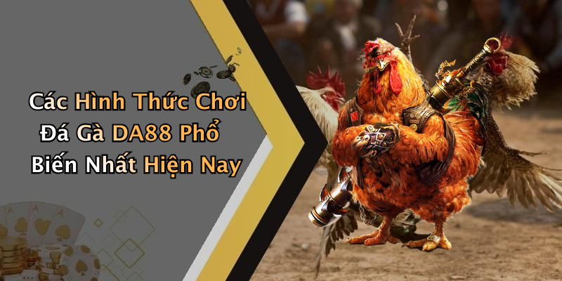 Các Hình Thức Chơi Đá Gà DA88 Phổ Biến Nhất Hiện Nay