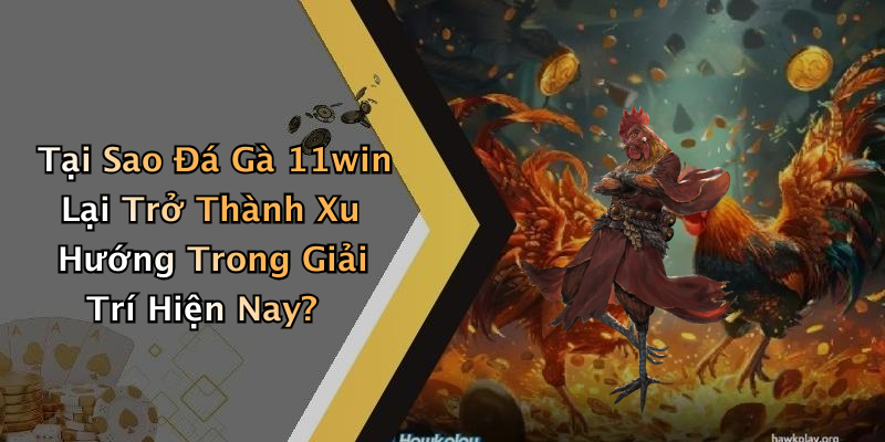 Tại Sao Đá Gà 11win Lại Trở Thành Xu Hướng Trong Giải Trí Hiện Nay?