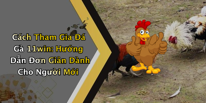 Cách Tham Gia Đá Gà 11win: Hướng Dẫn Đơn Giản Dành Cho Người Mới