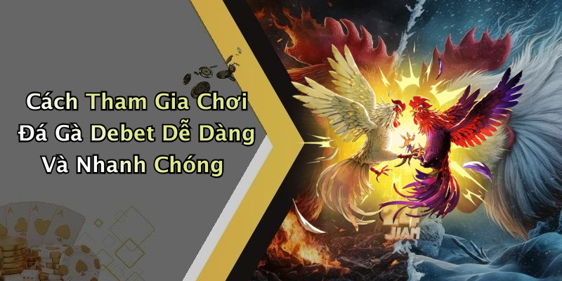Cách Tham Gia Chơi Đá Gà Debet Dễ Dàng Và Nhanh Chóng