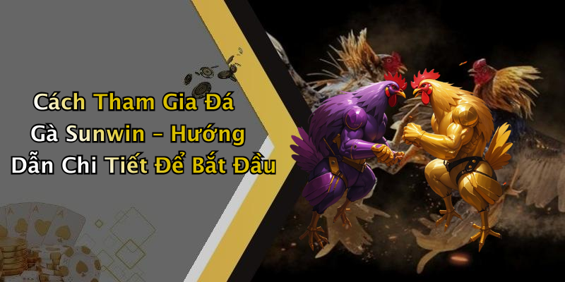 Cách Tham Gia Đá Gà Sunwin – Hướng Dẫn Chi Tiết Để Bắt Đầu