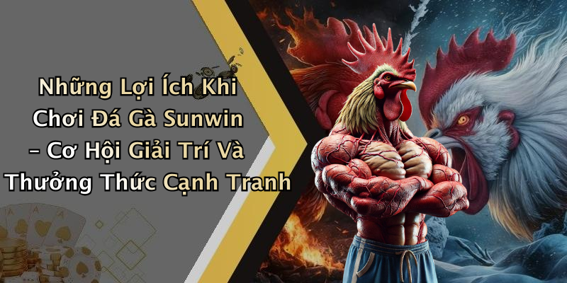 Những Lợi Ích Khi Chơi Đá Gà Sunwin – Cơ Hội Giải Trí Và Thưởng Thức Cạnh Tranh
