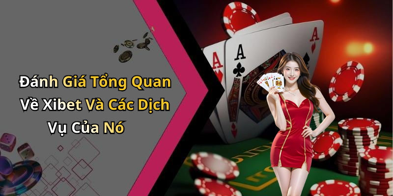 Đánh Giá Tổng Quan Về Xibet Và Các Dịch Vụ Của Nó
