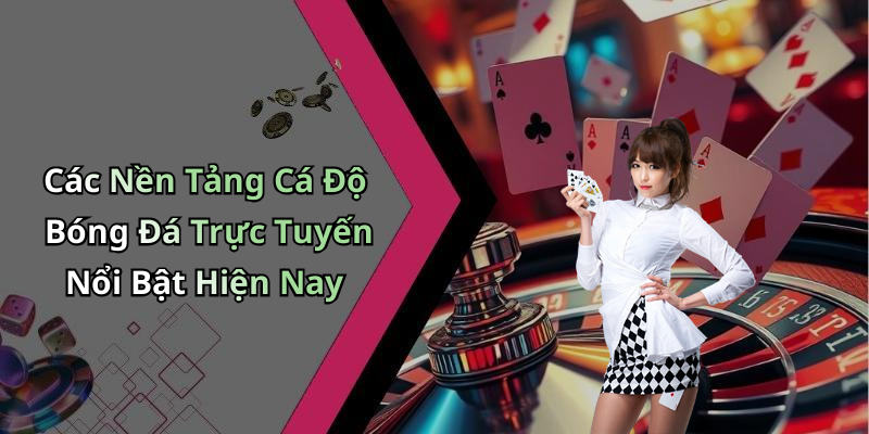 Các Nền Tảng Cá Độ Bóng Đá Trực Tuyến Nổi Bật Hiện Nay