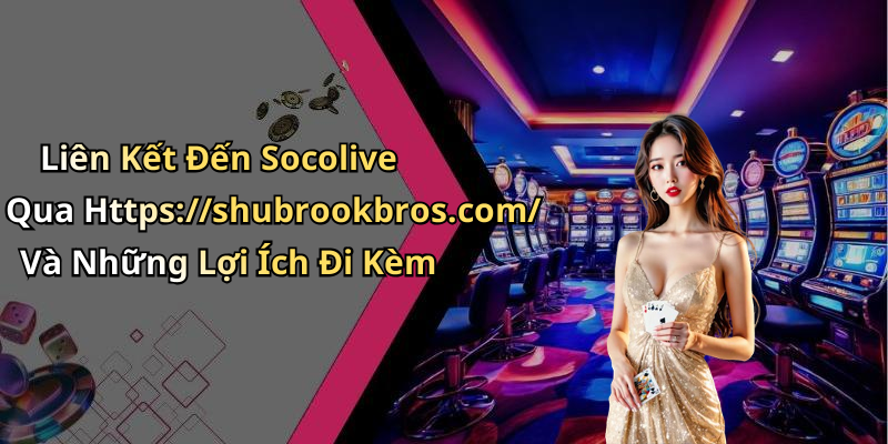 Liên Kết Đến Socolive Qua Https://shubrookbros.com/ Và Những Lợi Ích Đi Kèm