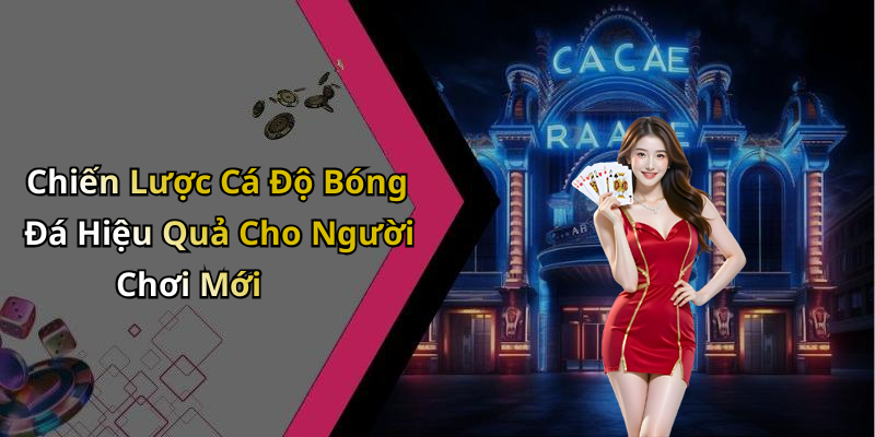 Chiến Lược Cá Độ Bóng Đá Hiệu Quả Cho Người Chơi Mới