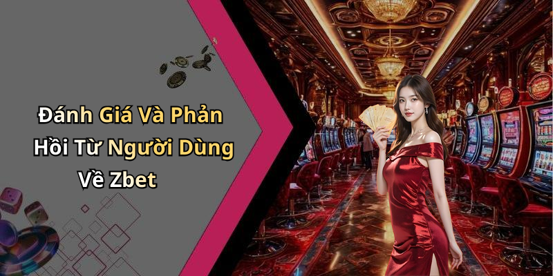 Đánh Giá Và Phản Hồi Từ Người Dùng Về Zbet