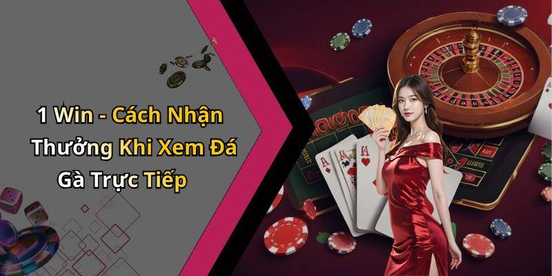 1 Win - Cách Nhận Thưởng Khi Xem Đá Gà Trực Tiếp