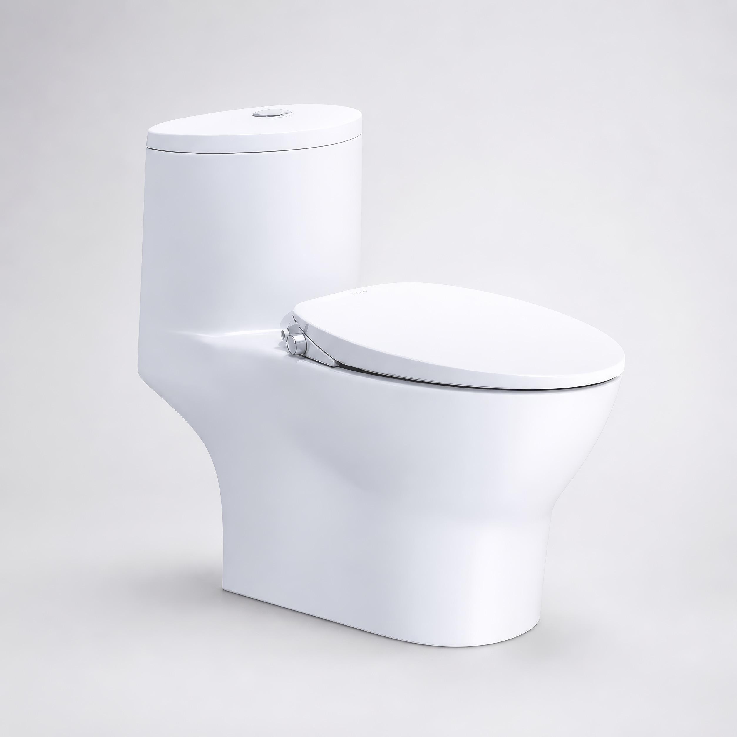 Bồn cầu 1 khối nắp rửa cơ Caesar C1375F + TAF060 (CD1375+TAF060)