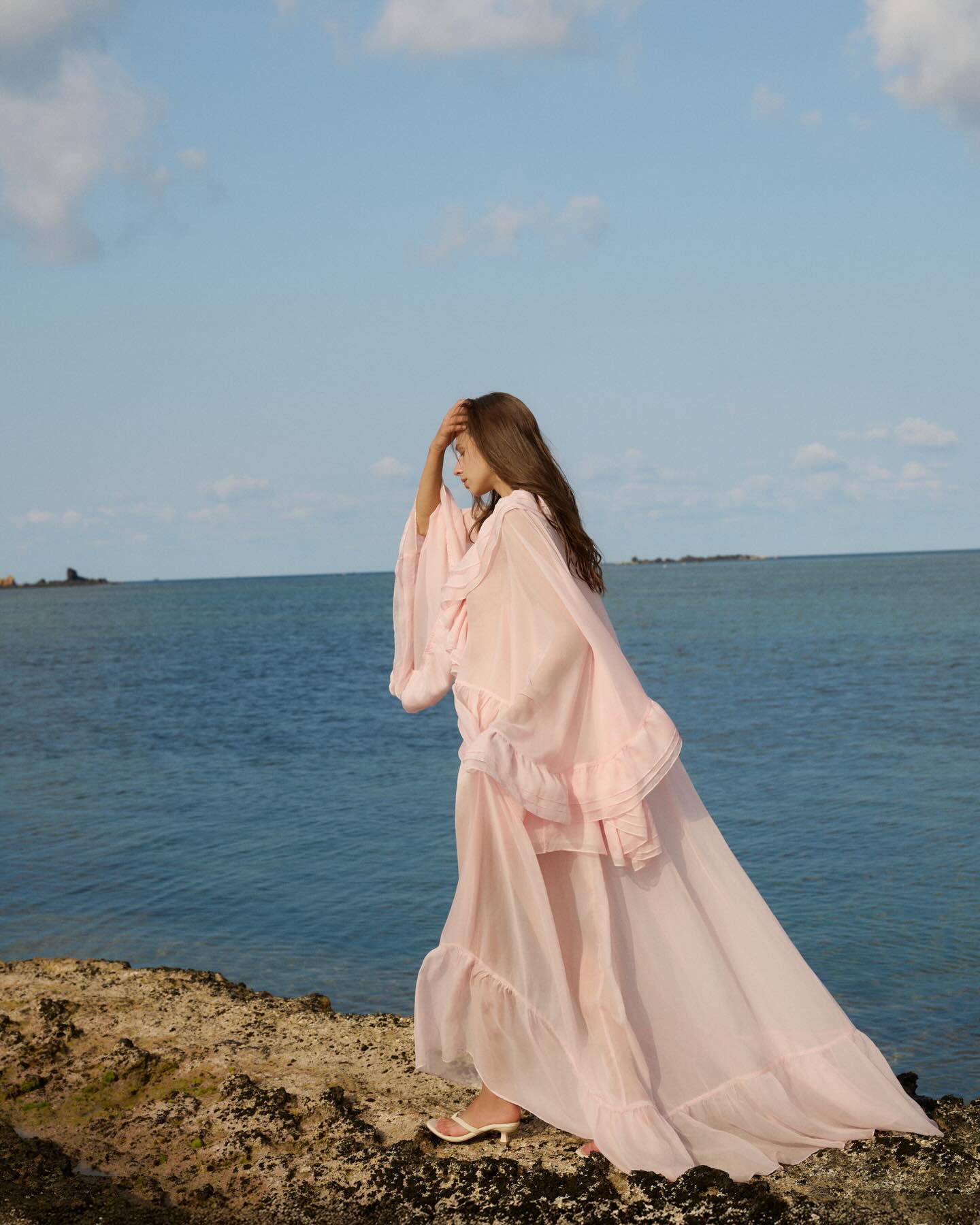 Blush Sheer Cape Gown