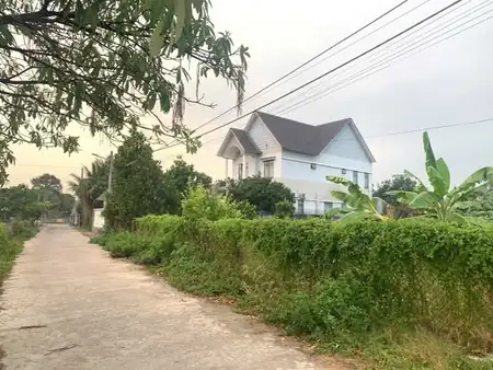 🌹🌹Bán 1000m2 đất Chánh Nghĩa, đường 5m thông Bùi Quốc Khánh DT 16x56 CLN, Chuyển thổ cư ok…