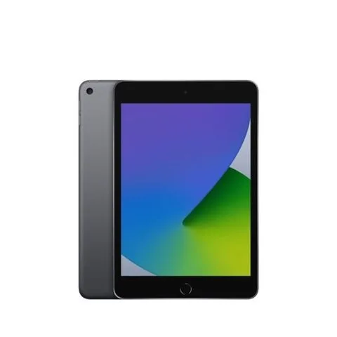 iPad mini 5 Wi-Fi Xám Không Gian