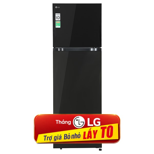 LG Inverter 217 lít T21BG