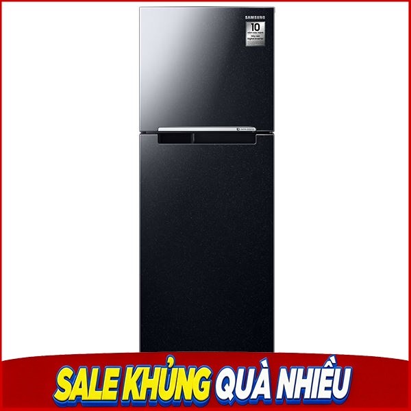 Samsung Inverter 256 lít RT25M4032BU/SV